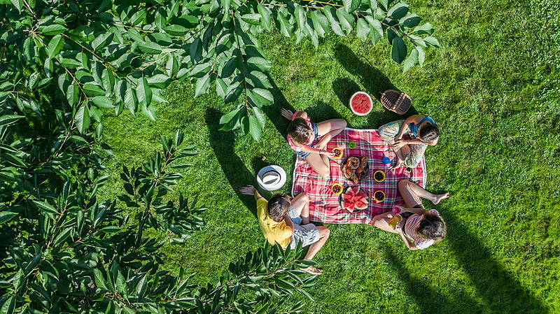 B_Picknick