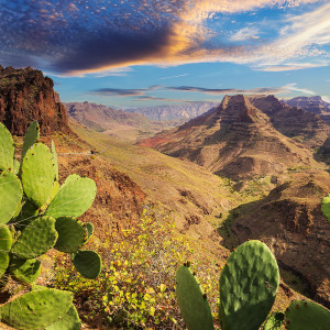 B_Cran_Canaria_Mountains