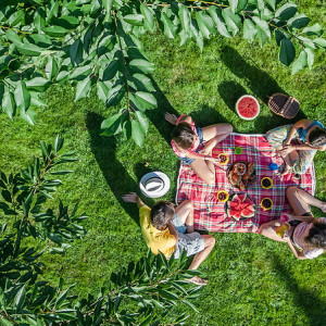 B_Picknick